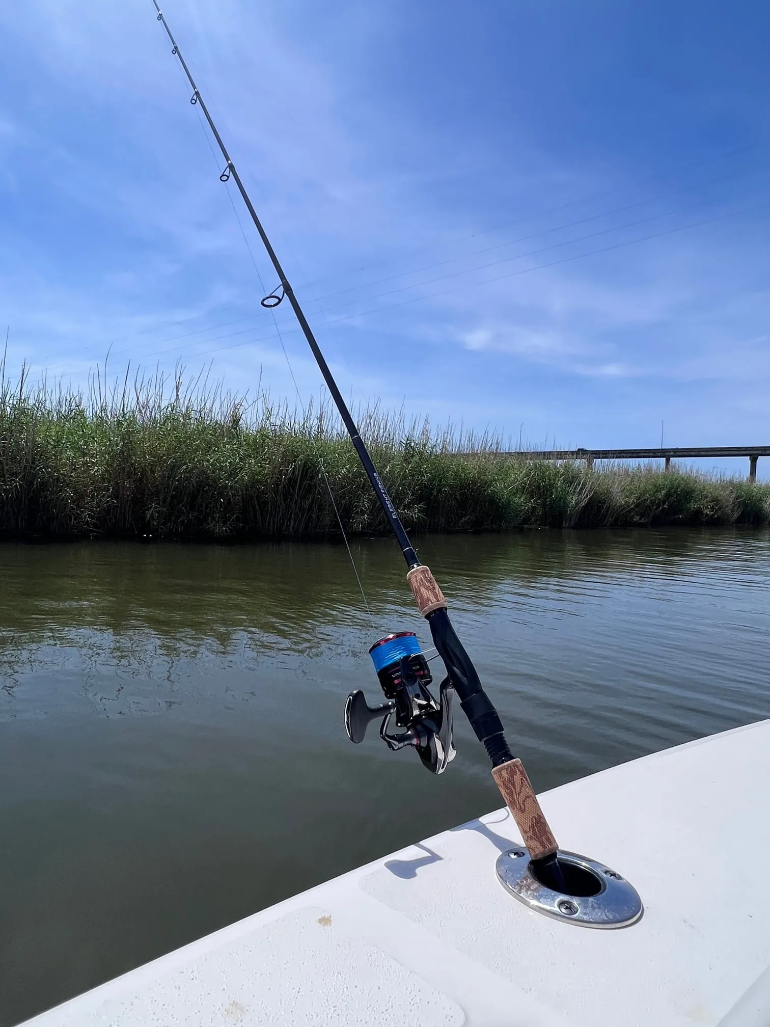 Carbon Inshore Rod Series - Spinning