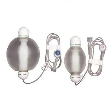 Elastomeric Pump Easypump II LT Gravity Disposable 270 mL Capacity 270 mL Volume 5 mL / Hr. Flow Rate