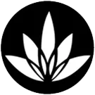 Original Skydiving Brand