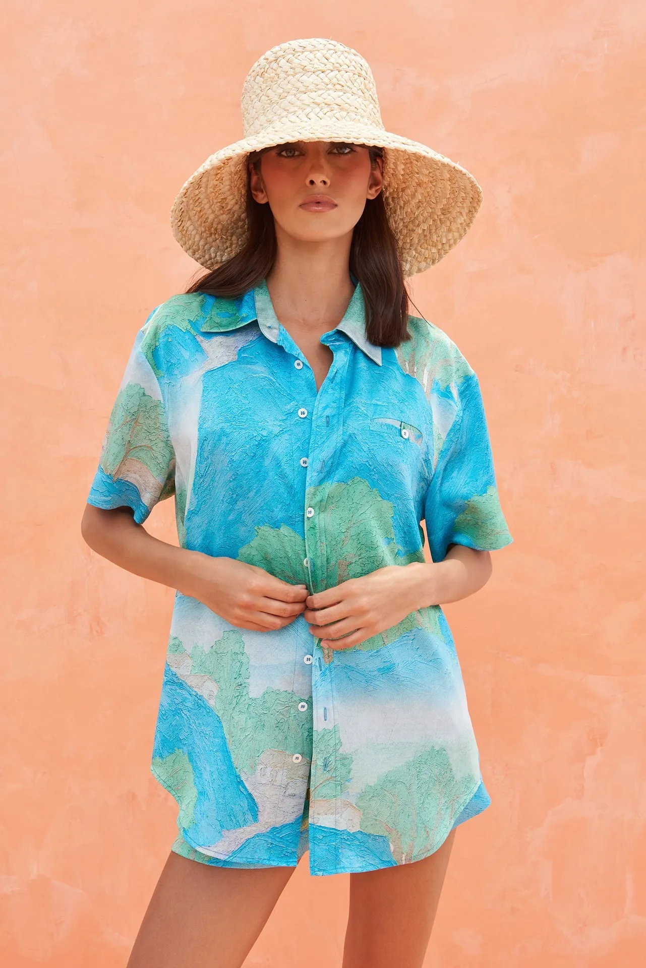 Rayn Top - Landscape Print
