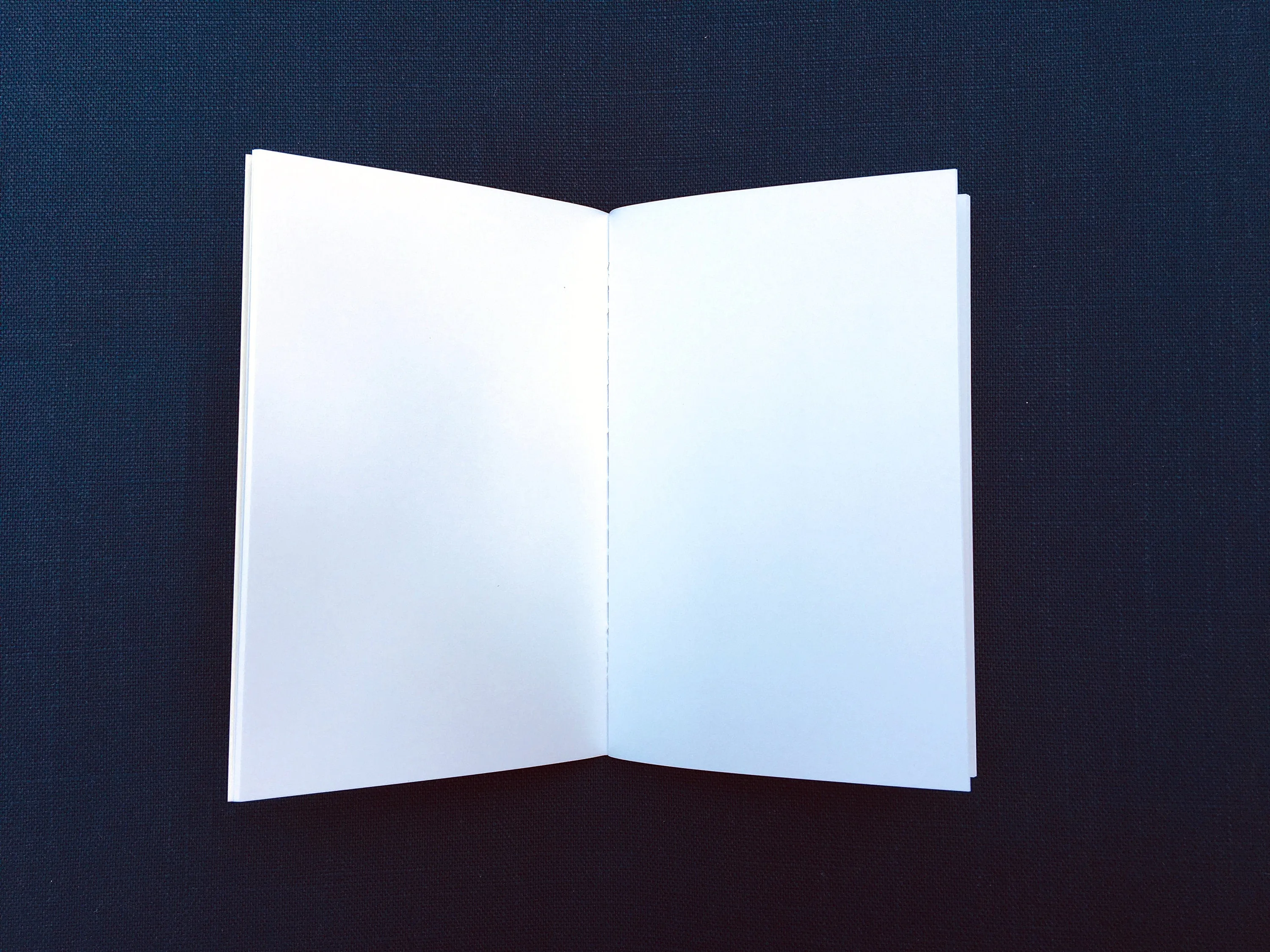 Regular TN Text Weight Blank Bound Notebook Insert with SuedeTex® Covers